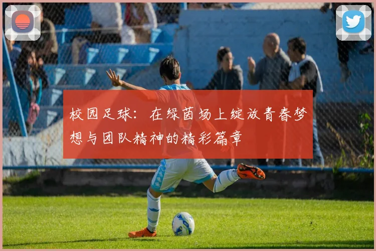 校园足球：在绿茵场上绽放青春梦想与团队精神的精彩篇章