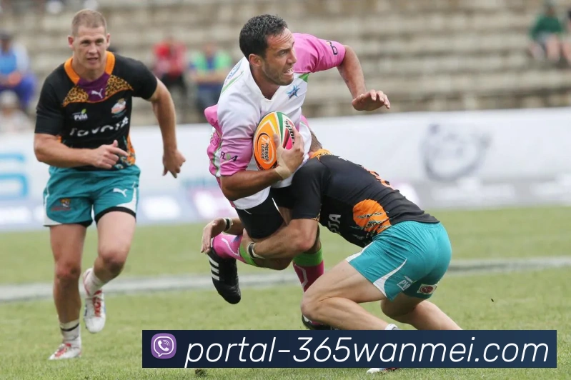 WMSPORTS官网服务体系